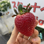 姫路ハートフル観光農園 - 