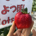 姫路ハートフル観光農園 - 