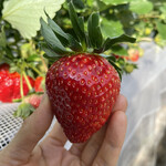 姫路ハートフル観光農園 - 