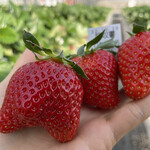 姫路ハートフル観光農園 - 