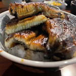 イチビキ - 圧巻の断面図！