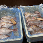 くら天然魚市場 - 