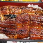 Sumibiyaki Unagi Higashiyama Bussan - 