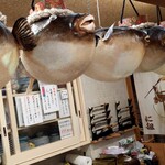 すし ふぐ に組 - 