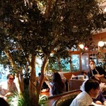 GREEN HOUSE by MERCER BRUNCH - 