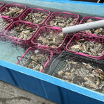 海鮮かき焼かくれ家 - 