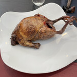 ベルエキップ - ラカン産ピジョン