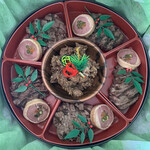 ステーキハウス キッチンリボン - 