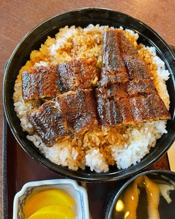 Unagi Matsumoto - 