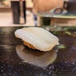 鮨 こう介 - アオリイカ