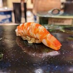 鮨 こう介 - 車海老