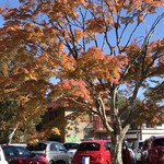 Yutoriro Karuizawa Hotel - Event Venue