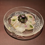 イル アオヤマ - 