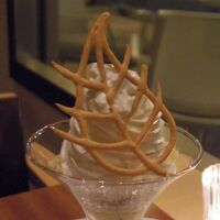 フィオレンティーナ - 