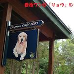 RYO - 看板ワン仔は『リョウ』ｸﾝ❤