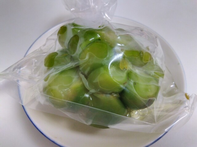 Yanagi ni Sakura photo 2