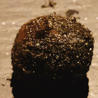 中目黒 いぐち 恵比寿店 - 