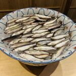 富小路 やま岸 - ◎朝獲れの琵琶湖の天然本もろこ！