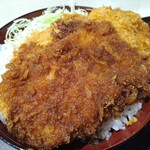 nanjousa-bisueriakudarinanjoufu-doko-to - ソースカツ丼