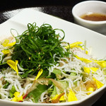 Ginzawafuuizakayafuurin - 京都産九条葱と京水菜のじゃこサラダ