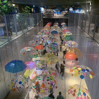 圓 弁柄 渋谷ストリーム - 