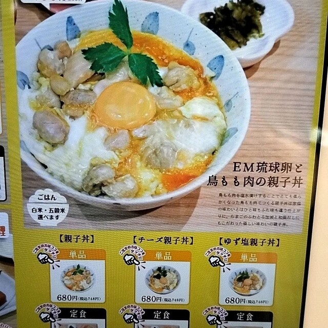 鳥と卵 東京烏骨鶏 烏骨鶏 12個 種卵 放し飼い 有精卵 【送料無料