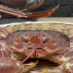 赤坂おぎ乃 - 顔が怖い