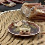 赤坂おぎ乃 - 甲羅