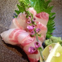 味とく家 - 天然鯛のお刺身