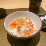 日本料理FUJI - 桜エビをかけて
