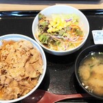 Yoshinoya - 牛丼小サラダセット