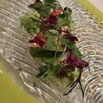 ラ・グランターブル ドゥ キタムラ - 