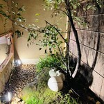 京天神 野口 - ◎カウンター席から坪庭が見える。