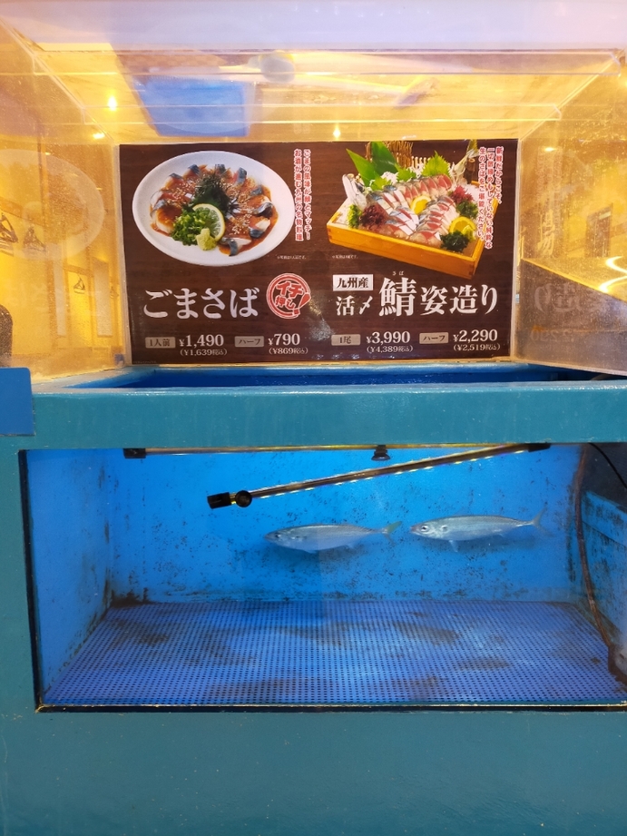豊洲市場のお魚玉手箱・星