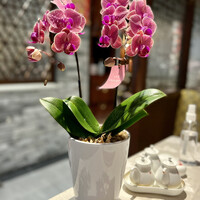 全聚徳 丸ビル店 - 
