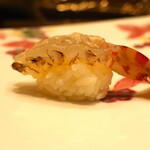 鮨 井上 - 車海老