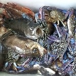 ヴェルデ - 立漁師さん直送の魚をお好みの調理法で