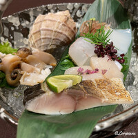 お料理 七草 - 槍烏賊､寒鮃､帆立貝柱､螺貝､炙り〆鯖の造り