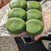 志”満ん草餅