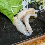 Sushi Ichi Honten - 