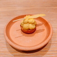 マンサルヴァ - 