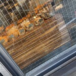 パン・デ・フィロゾフ - パンがいっぱい