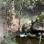 料亭旅館 竹千代 - 山神社　手水