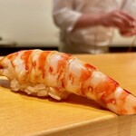 鮨 はしもと - 2022.12.  車海老