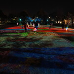 ラーメン 三亀 - ヨルノヨ（山下公園）