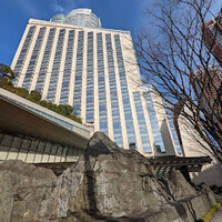 フィオレンティーナ - 