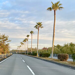 一心鮨 光洋 - 元旦の一つ葉有料道路は爽やかな晴天(*^^*)