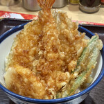 Tendon Tenya - 