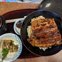 江戸川 ならまち店 - うなぎ一匹丼3950円