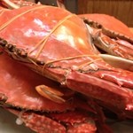 つるべ寿司 - 旬の渡り蟹